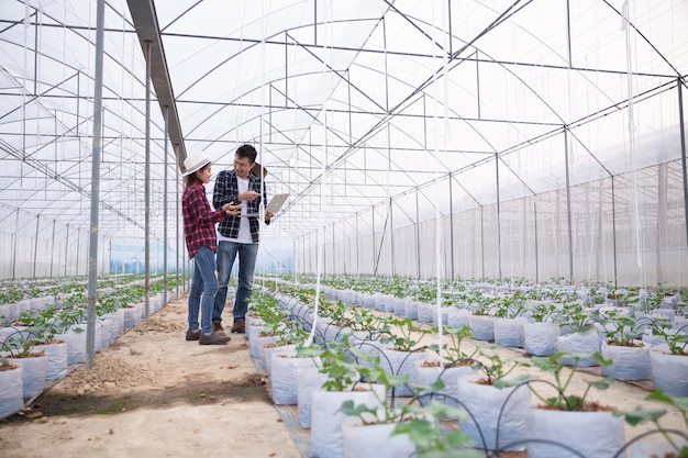agricultural-researcher-with-tablet-slowly-inspect-plants_1150-10107